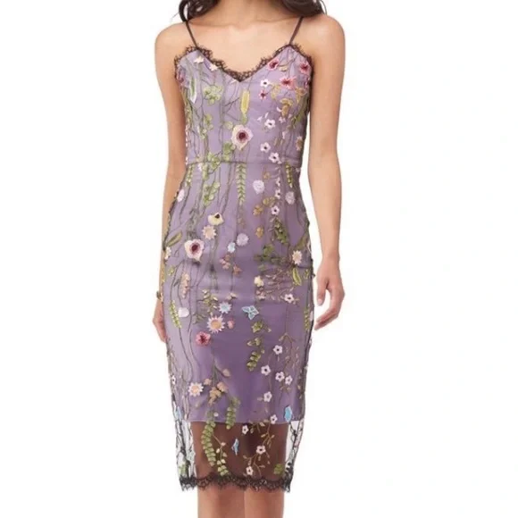 Beige by eci | Dresses | Nwt Beige By Eci Embroidery Floral Lace Overlay  Slip Dress 6